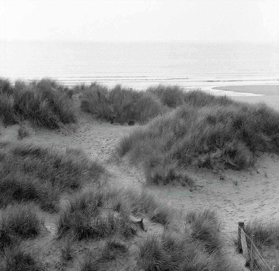 Beach Dunes And Plants Photograph by Robert Brook/science Photo Library