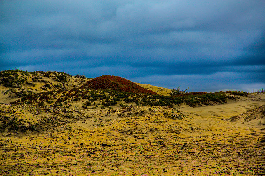 Beach Dunes Photograph by Blake Chow