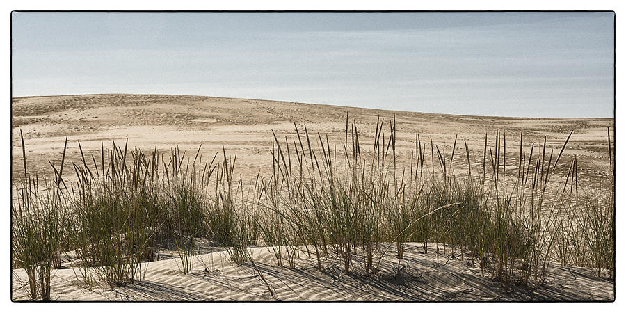 Beach Dunes Photograph by Robert Fawcett
