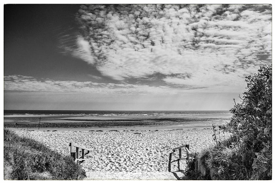 Beach Entrance in Black and White Photograph by Georgia Clare