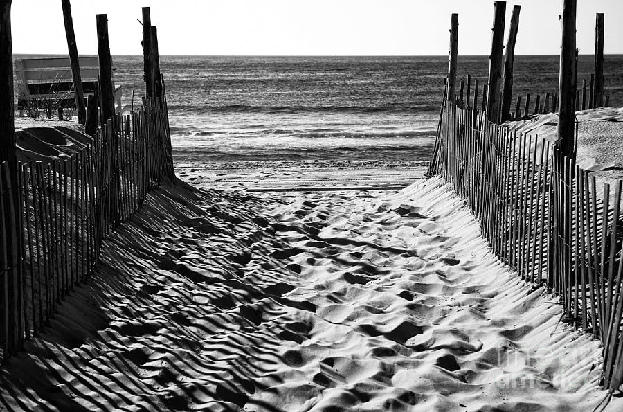 Beach Entry Black And White Photograph by John Rizzuto