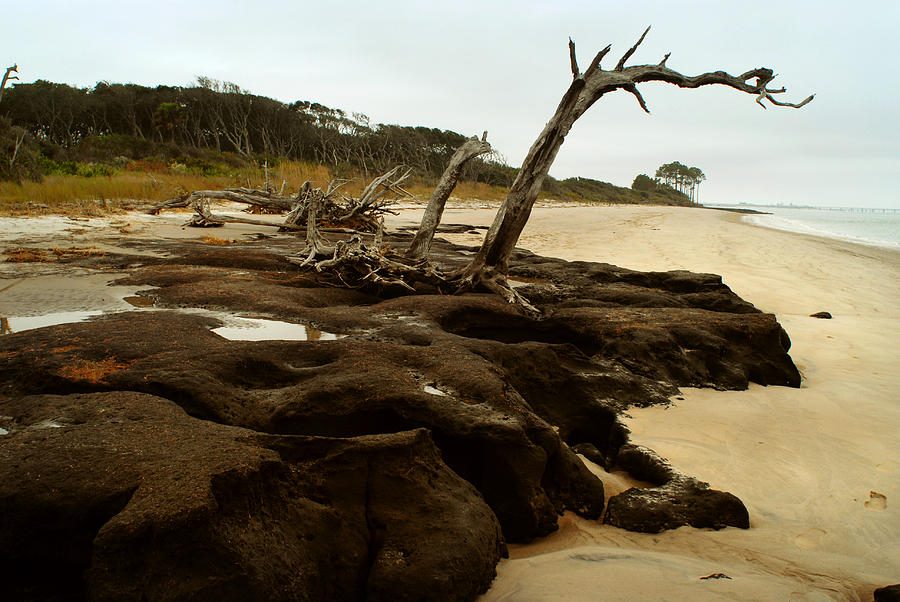 Beach Erosion Photograph by Kenneth Murray