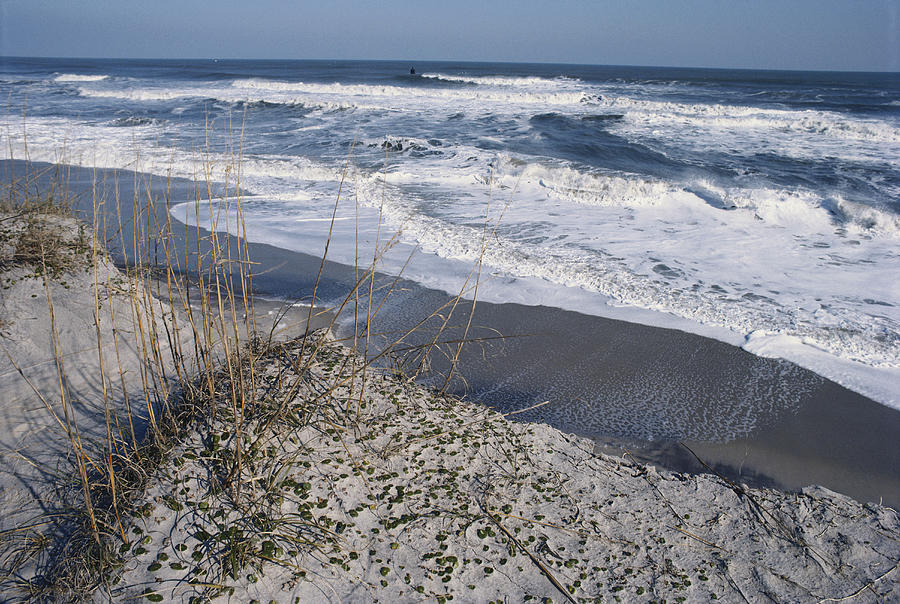 Beach Erosion Photograph by Larry Cameron