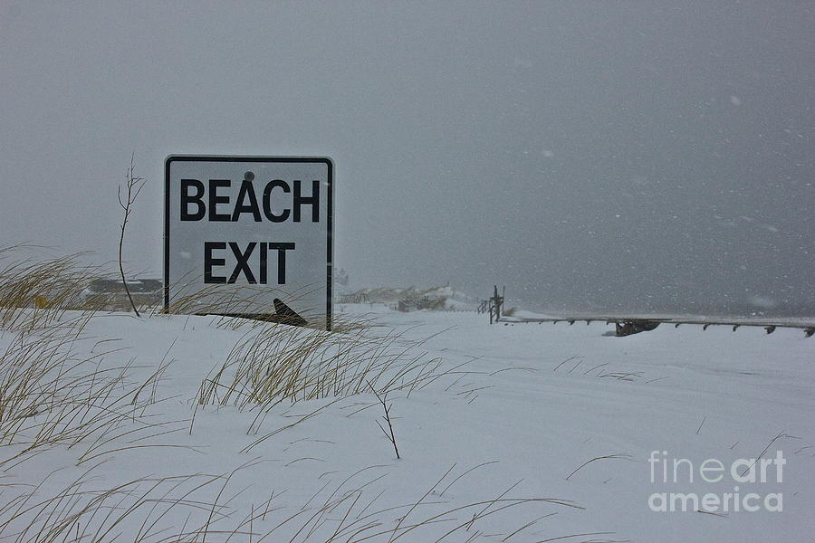 Beach Exit  Photograph by Amazing Jules