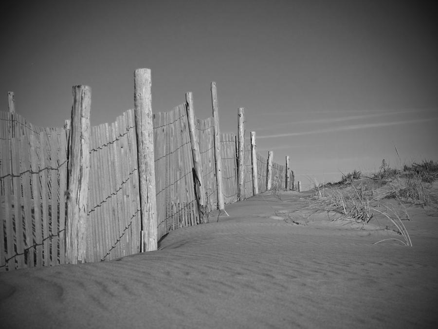 Beach Fence Photograph by Andy Smetzer
