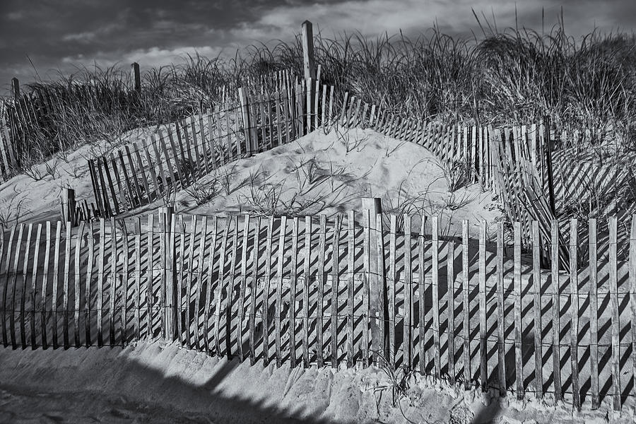 Beach Fence BW Photograph by Susan Candelario