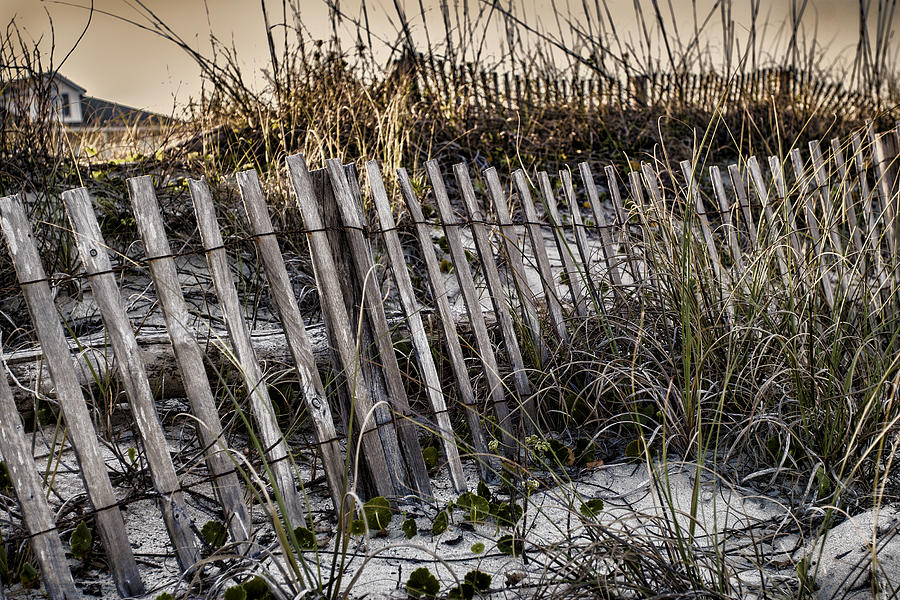 Beach Photograph - Beach Fence on Tybee Island by Diana Powell