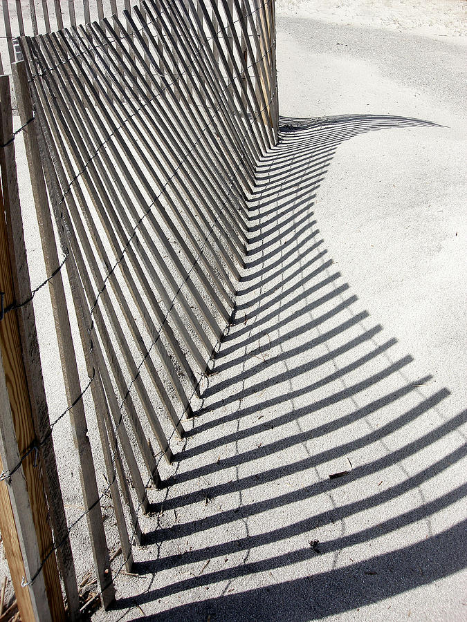 Beach Fence with Shadow Photograph by Ellen Tully