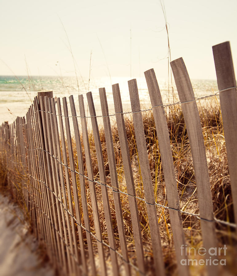 Beach Fencing Photograph