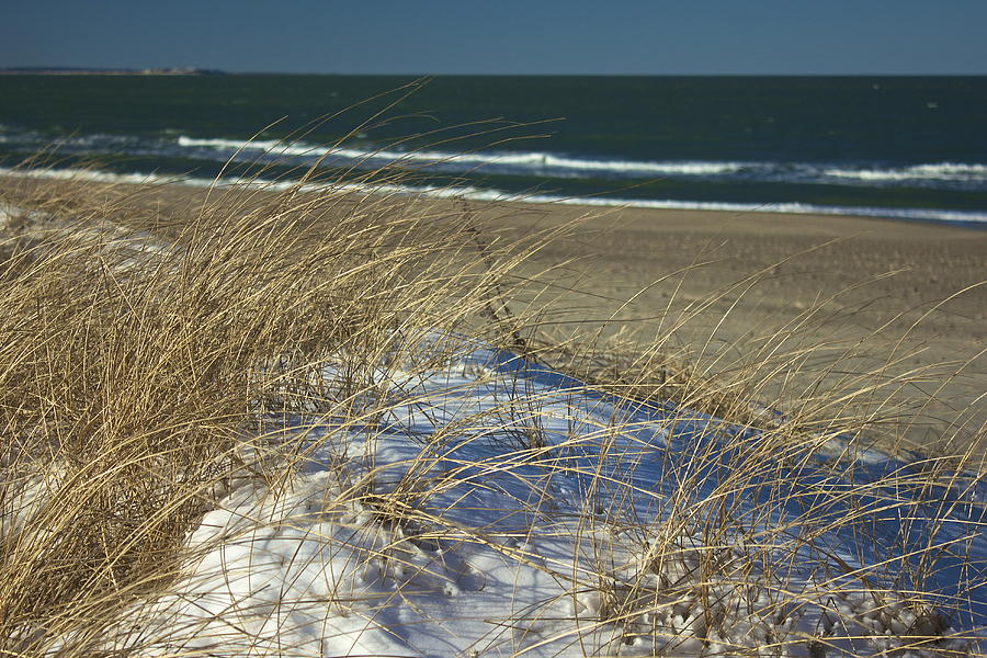 Beach Grass Photograph by Amazing Jules