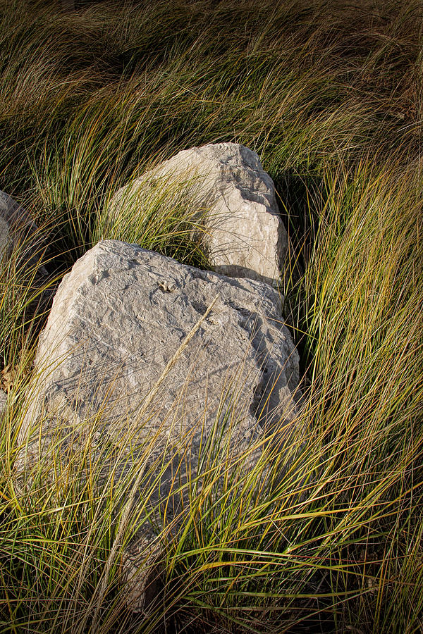 Beach Photograph - Beach Grass and Rocks near Lake Michigan by Randall Nyhof