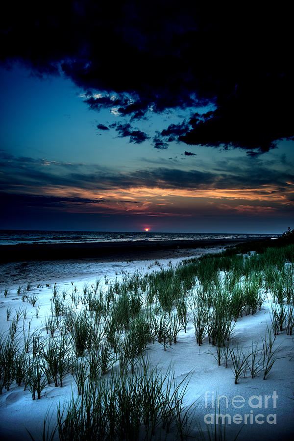 Beach Grass Photograph by Randall Cogle