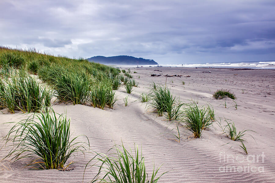 Inspirational Photograph - Beach Grass by Robert Bales