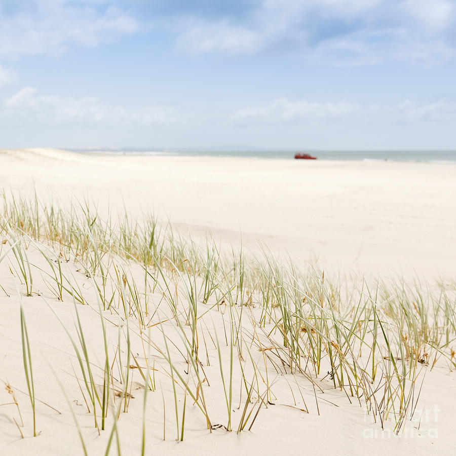 Beach Grass With 4wd Photograph