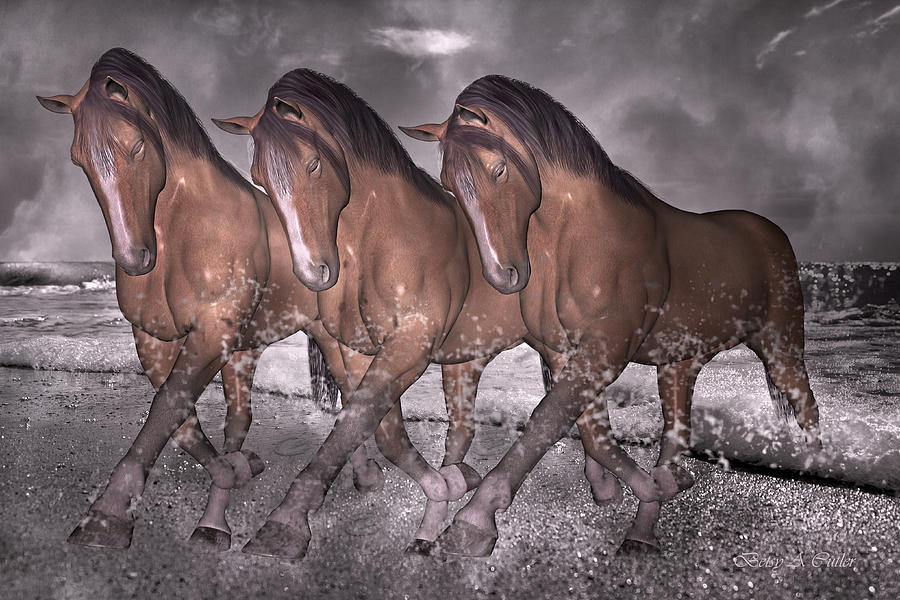 Beach Horse Trio Night March Digital Art