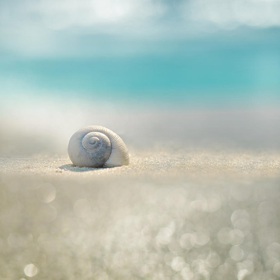 Beach Photograph - Beach House by Laura Fasulo Beach Photograph - Beach House by Laura Fasulo