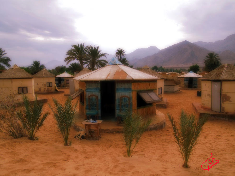 Beach Photograph - Beach Houses Nuweiba Sinai Egypt by Colette V Hera Guggenheim