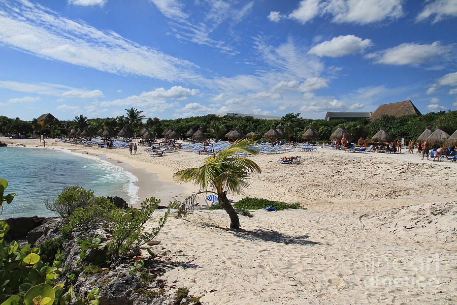 Beach in Mayan Riviera Photograph by Teresa Zieba