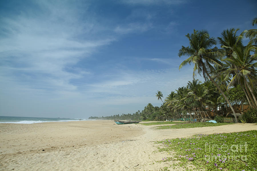 Beach in Sri Lanka Photograph by Gina Koch