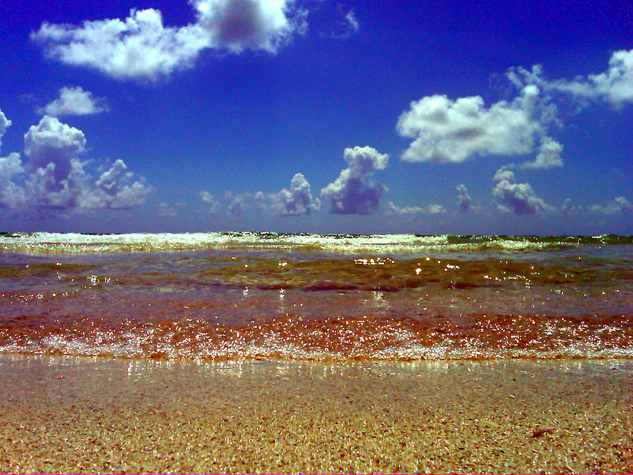 Beach Photograph