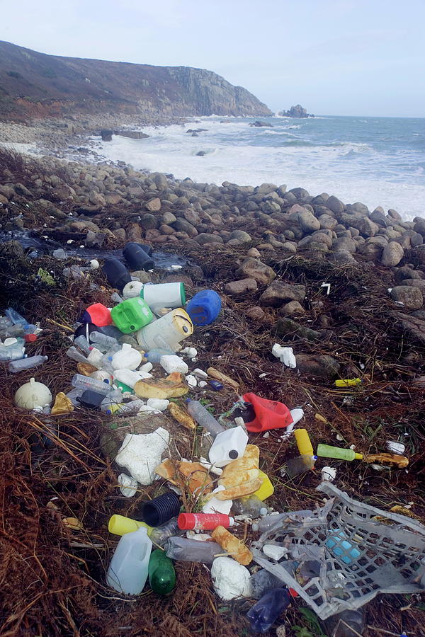 Beach Litter Photograph by Simon Fraser/science Photo Library - Pixels