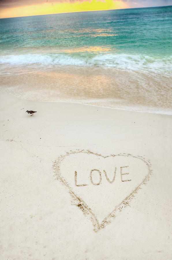 Beach Love Photograph by Donna Doherty