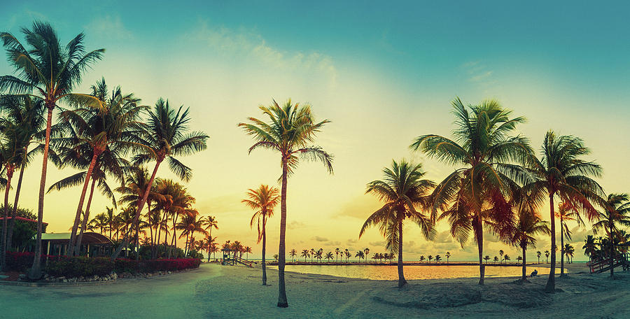 Beach Miami Panorama Photograph by Thepalmer