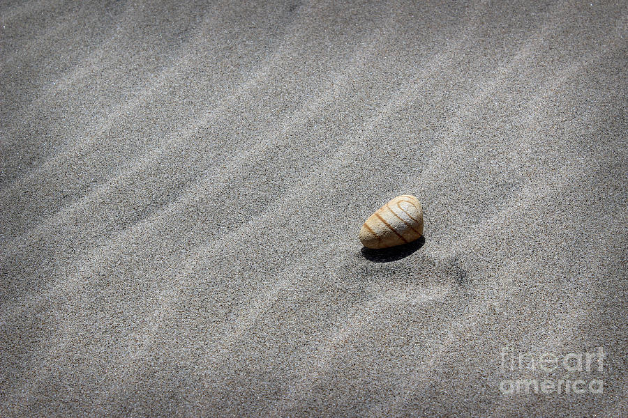 Beach Minimalism Photograph by Morgan Wright