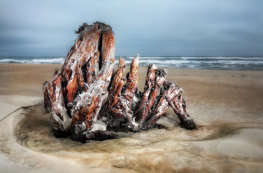 Beach Monster 2 - Outer Banks Photograph by Dan Carmichael