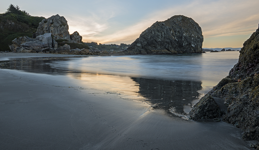 Beach Morning Photograph by Loree Johnson
