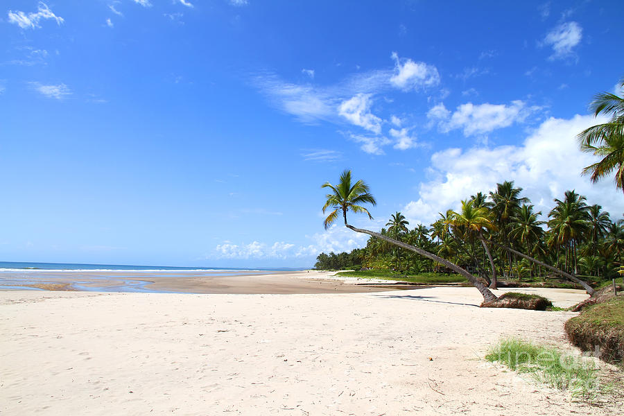 Beach Of Bahia Photograph By Michael Osterrieder - Fine Art America