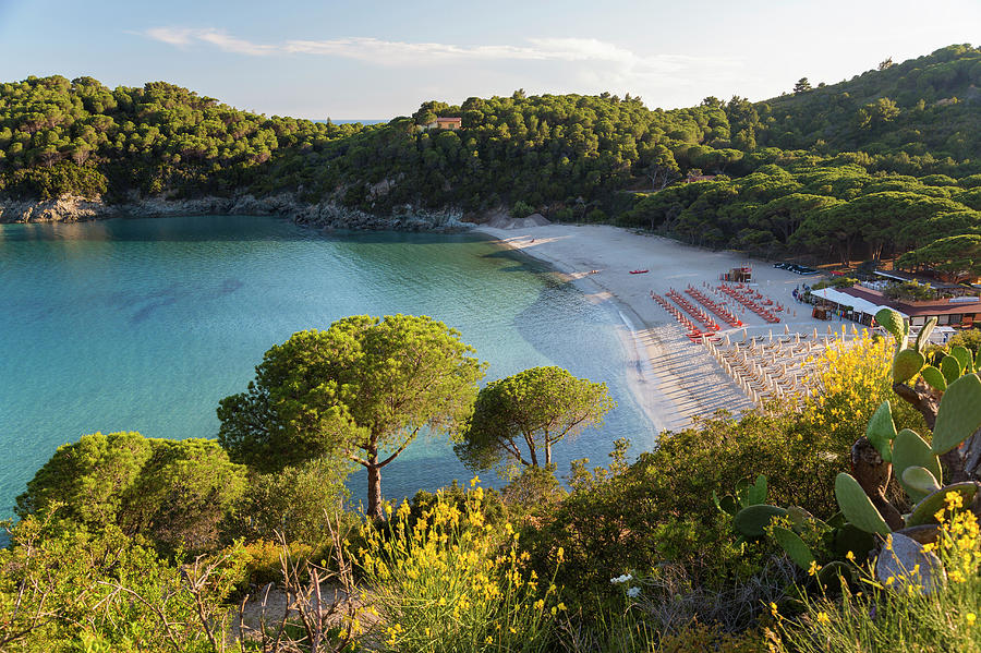 Beach Of Fetovaia, Island Of Elba Photograph by Peter Adams