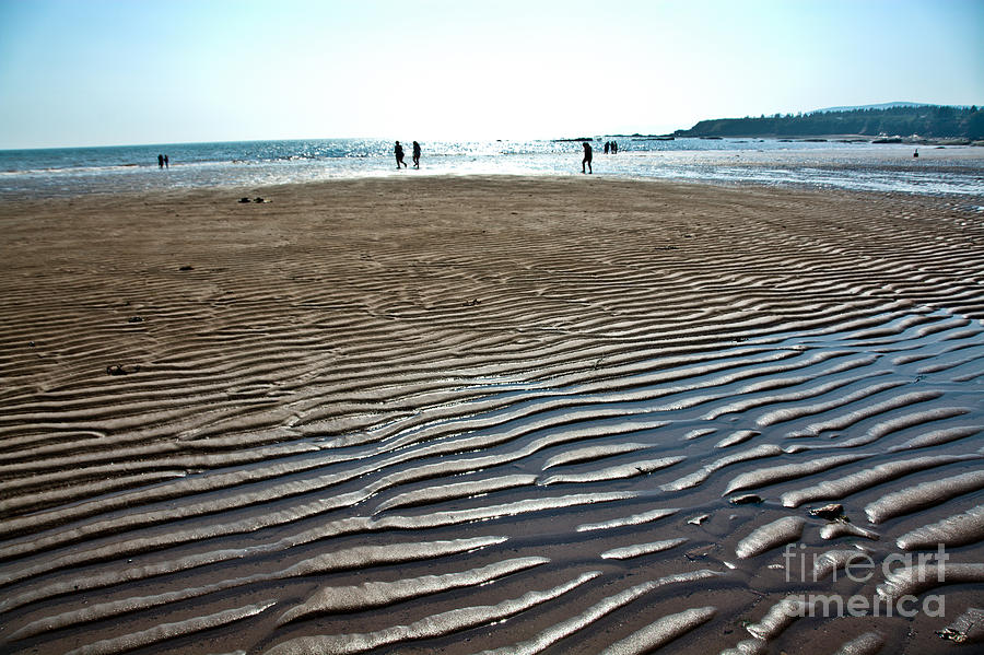 Beach On The Bay Of Fundy Photograph