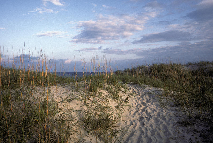 Beach On The Outer Banks, North Photograph by Scott Warren Beach On The Outer Banks, North Photograph by Scott Warren