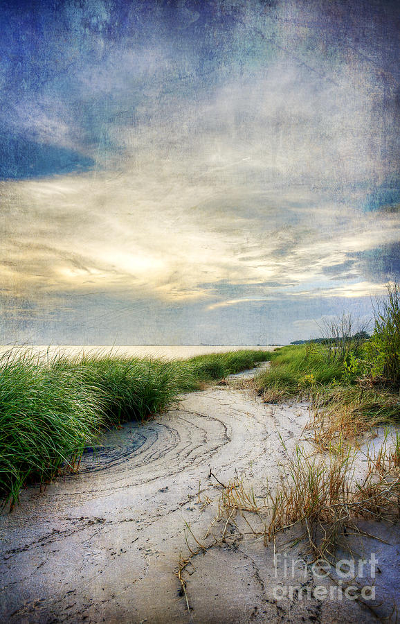 Beach Photograph - Beach Path by Joan McCool