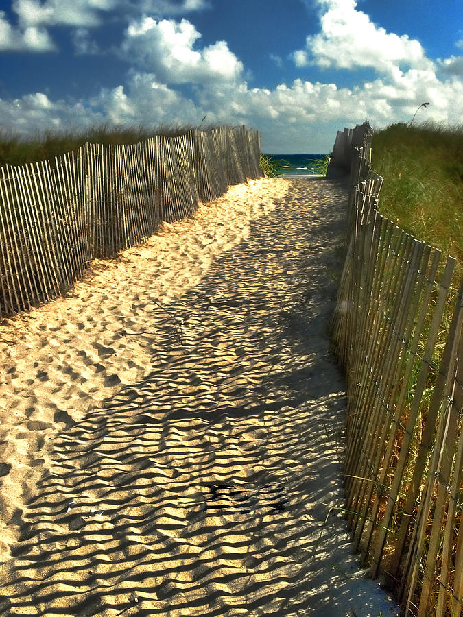 Beach Path Photograph by Raymond Earley