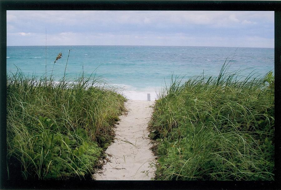 Beach Path Photograph by Robert Nickologianis
