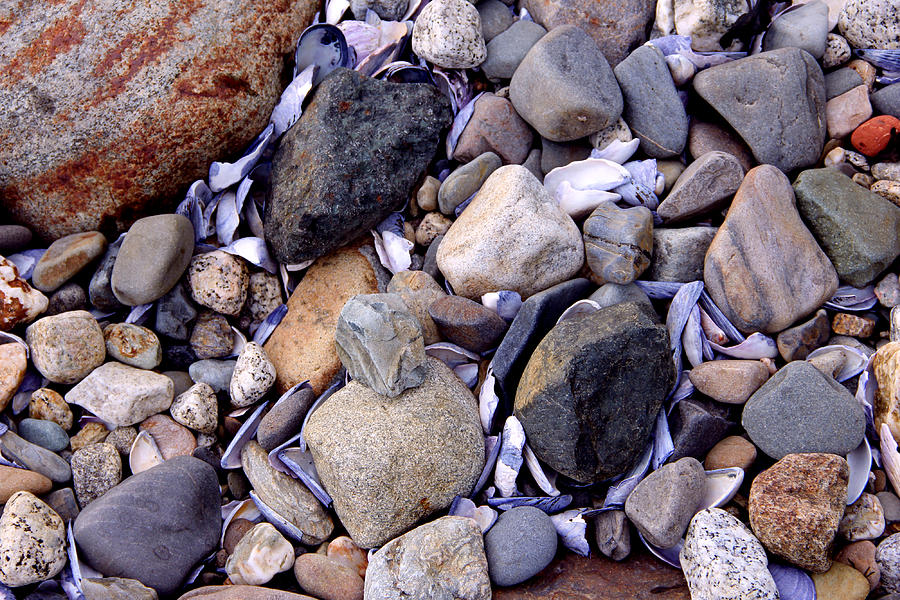 Beach Photograph - Beach pebbles by Peggy Berger Beach Photograph - Beach pebbles by Peggy Berger