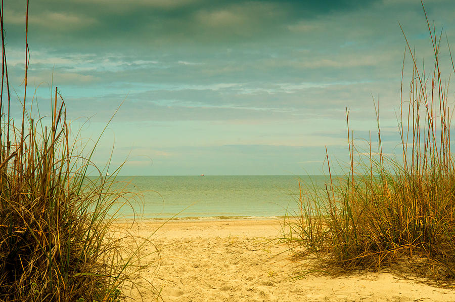 Beach scene Photograph by Carolyn DAlessandro