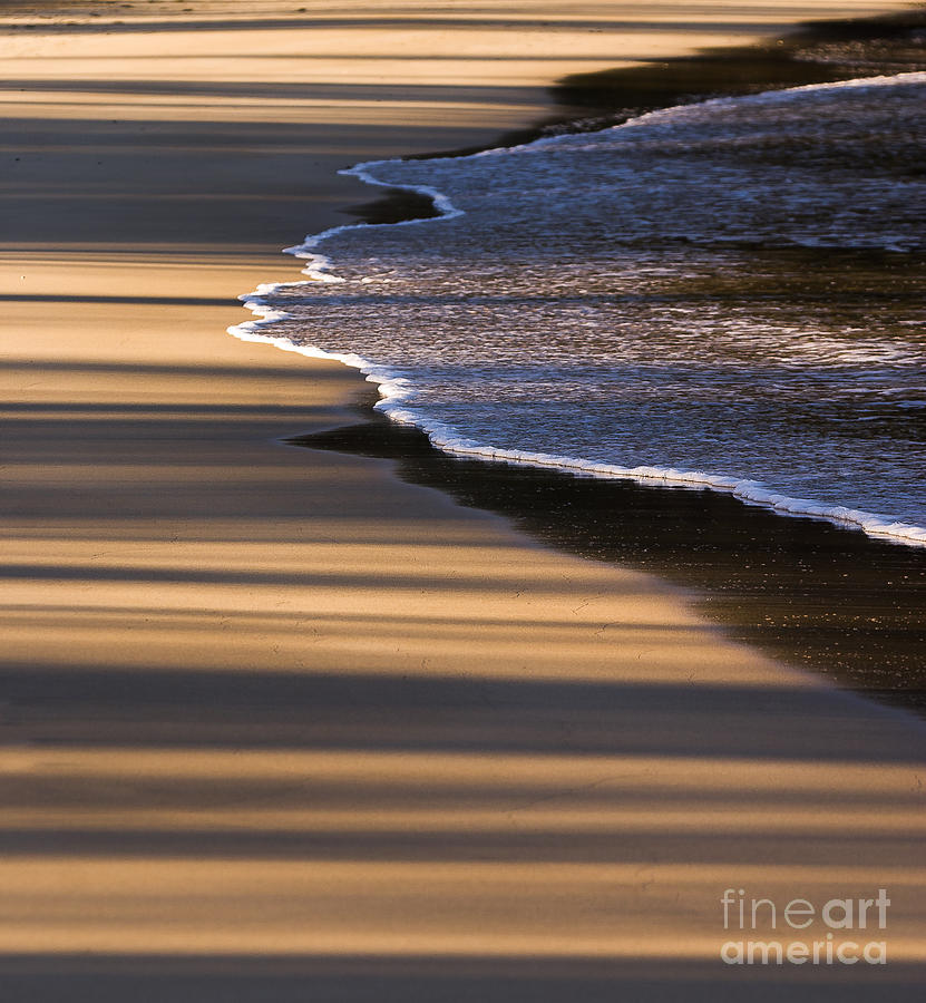 Beach Shadows Photograph by Steven Ralser
