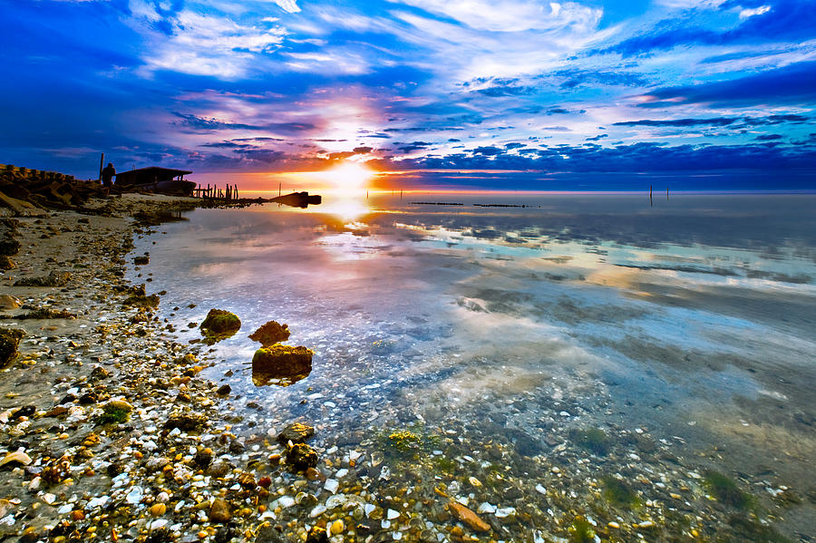 Beach Shells Sunrise-still And Transparent Sea Blue Sky by eSzra