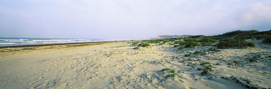 Beach, South Padre Island, Texas, Usa Photograph by Panoramic Images