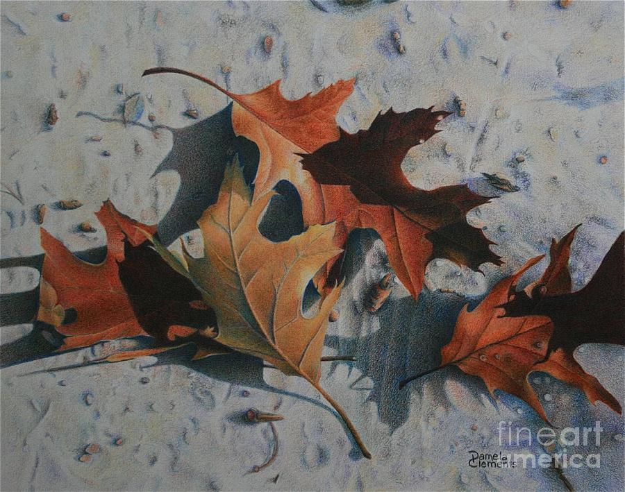 Fall Drawing - Beached by Pamela Clements