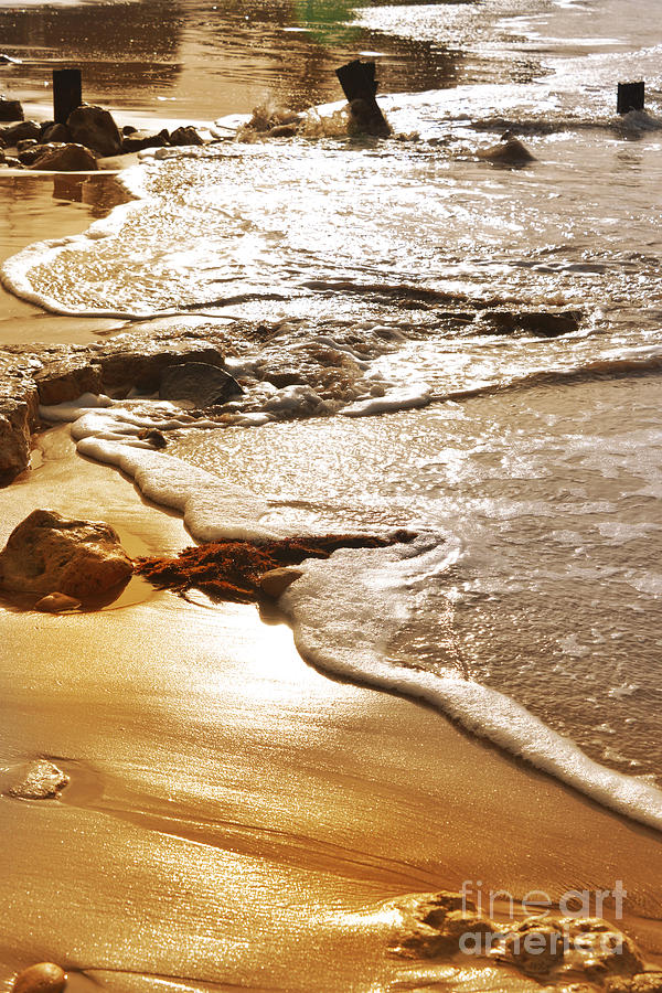 Nature Photograph - Beach - Sun and Water Magic by Fatima Suljagic