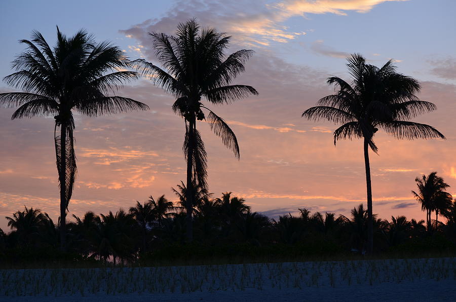 Beach Sunrise Photograph
