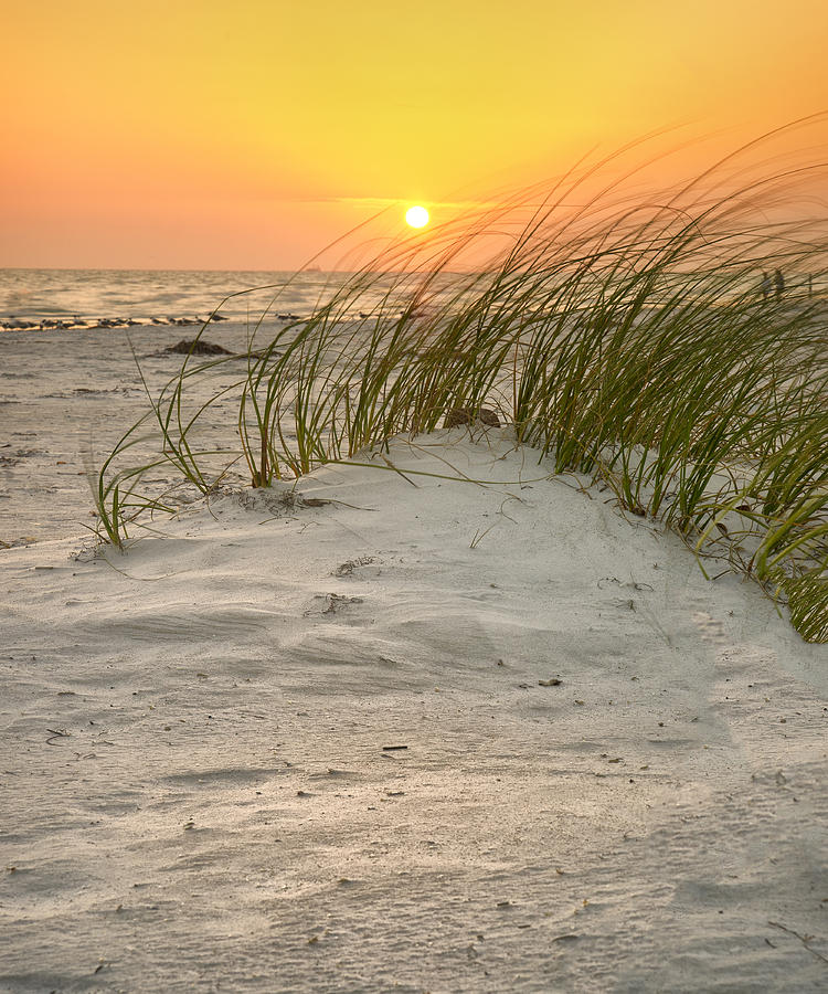 Beach Sunset Photograph by Darylann Leonard Photography