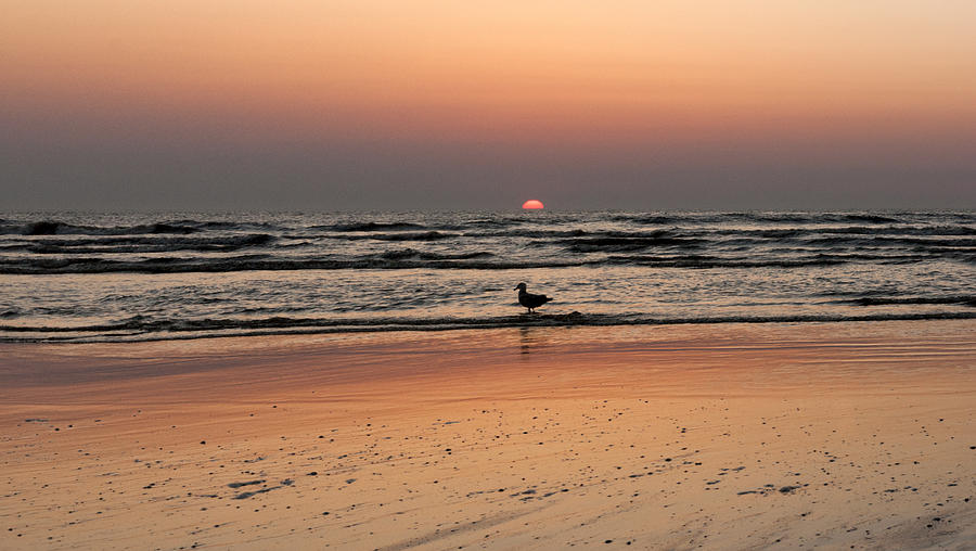 Beach Sunset Photograph by Mike Santis