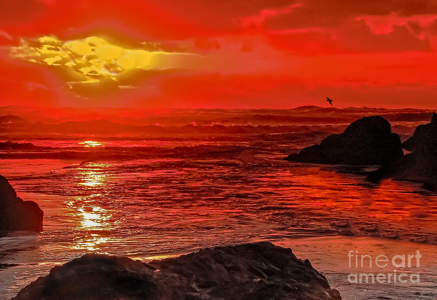 Sunset Photograph - Beach Sunset by Robert Bales