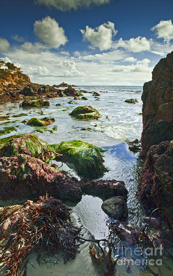 Beach Tide Pool And Blue Sky Photograph by Jerry Cowart