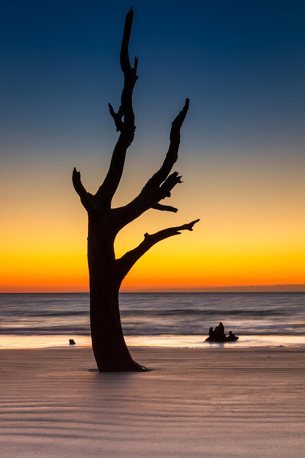 Beach Tree Sunset Photograph by Pierre Leclerc Photography